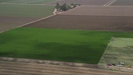 5K aerial stock footage track a field of green crops, Camarillo, California Aerial Stock Footage | AX42_037