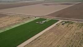 5K aerial stock footage of flying away from farm workers working a crop field, and reveal second group, Camarillo, California Aerial Stock Footage | AX42_044