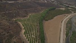 5K aerial stock footage approach orchards at the base of mountains near a country road, Point Mugu, California Aerial Stock Footage | AX42_052E