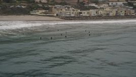5K aerial stock footage track a group of surfers in the ocean near a beach, Malibu, California Aerial Stock Footage | AX42_079