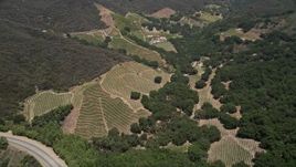 5K aerial stock footage of vineyards in the hills of Malibu, California Aerial Stock Footage | AX42_097