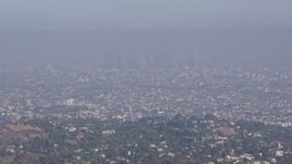 4K aerial stock footage approaching and flying over a tree atop a hill to reveal Downtown Los Angeles, California  Aerial Stock Footage | AX43_001