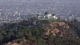 4K aerial stock footage flying low over palm trees to approach and flyby the Griffith Observatory, Los Angeles California Aerial Stock Footage | AX43_011