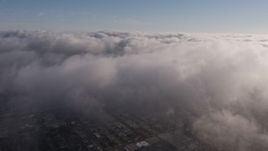 4K aerial stock footage flying over a dense marine layer over Los Angeles, California Aerial Stock Footage | AX43_047E