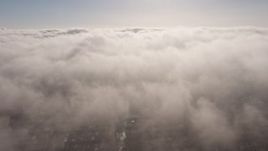 4K aerial stock footage flying by sunlit marine layer clouds, Los Angeles, California Aerial Stock Footage | AX43_054E