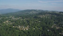 5K aerial stock footage of passing hillside suburban homes with lush trees, Bellevue, Washington Aerial Stock Footage | AX48_012