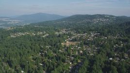 5K aerial stock footage flyby suburban homes on a hill with trees, Bellevue, Washington Aerial Stock Footage | AX48_013