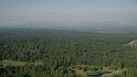 5K aerial stock footage of flying over evergreen trees, Sammamish, Washington Aerial Stock Footage | AX48_024