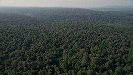 5K aerial stock footage flyby a lush deciduous forest in Sammamish, Washington Aerial Stock Footage | AX48_025E