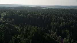 5K aerial stock footage fly by an evergreen forest near Carnation, Washington Aerial Stock Footage | AX48_031