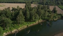 5K aerial stock footage fly over the Snoqualmie River to approach farm fields in Carnation, Washington Aerial Stock Footage | AX48_037
