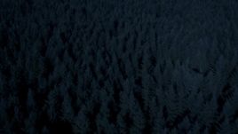 4K day for night color corrected aerial stock footage of evergreen trees, tilt to approach and fly over a clear cut area, King County, Washington Aerial Stock Footage | AX48_043_DFN