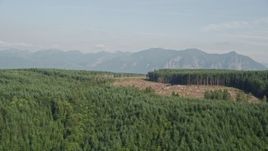 5K aerial stock footage of flying by a clear cut area in forest in King County, Washington, near the Cascade Range Aerial Stock Footage | AX48_045