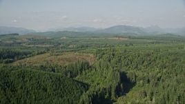 5K aerial stock footage fly over vast evergreen forest to approach a clear cut area in King County, Washington Aerial Stock Footage | AX48_046