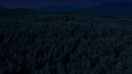 4K day for night color corrected aerial stock footage of evergreen trees in a vast forest in King County, Washington Aerial Stock Footage | AX48_050_DFN