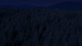 4K day for night color corrected aerial stock footage of evergreen trees, reveal a green hill in King County, Washington Aerial Stock Footage | AX48_052_DFN