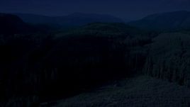 4K day for night color corrected aerial stock footage of an evergreen forest, reveal a narrow road through the trees in King County, Washington Aerial Stock Footage | AX48_055_DFN