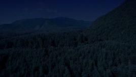 4K day for night color corrected aerial stock footage of evergreen forest to reveal a road in King County, Washington Aerial Stock Footage | AX48_056_DFN