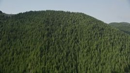 5K aerial stock footage flyby evergreen trees covering a mountain ridge in the Cascade Range, Washington Aerial Stock Footage | AX48_062