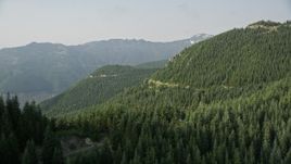 5K aerial stock footage fly over a mountain ridge and by evergreen trees on mountain slopes, Cascade Range, Washington Aerial Stock Footage | AX48_063