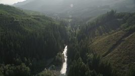 5K aerial stock footage of following a river through the forest, King County, Washington Aerial Stock Footage | AX48_068E