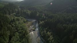 5K aerial stock footage of flying over a river running through an evergreen forest in King County, Washington Aerial Stock Footage | AX48_070
