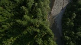 5K aerial stock footage of a bird's eye view of a river and evergreen trees in King County, Washington Aerial Stock Footage | AX48_071