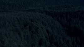 4K day for night color corrected aerial stock footage of a low altitude flight over the tops of evergreen trees in King County, Washington Aerial Stock Footage | AX48_075_DFN