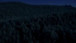 4K day for night color corrected aerial stock footage of flying over dense evergreen forest in King County, Washington Aerial Stock Footage | AX48_076_DFN