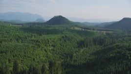 5K aerial stock footage fly over evergreen forest to reveal a green hill and logging areas in King County, Washington Aerial Stock Footage | AX48_077
