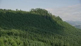 5K aerial stock footage approach and pan across a ridge with evergreen trees in King County, Washington Aerial Stock Footage | AX48_078