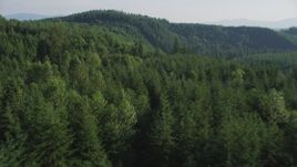 5K aerial stock footage of flying over an evergreen forest and approach a mountain ridge in the Cascade Range, Washington Aerial Stock Footage | AX48_083