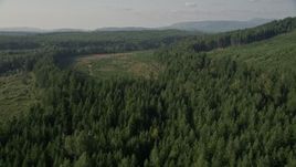 5K aerial stock footage fly over evergreen and pan across forest and clear cut areas, King County, Washington Aerial Stock Footage | AX48_094