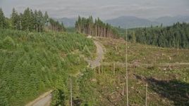 5K aerial stock footage of panning across a road through a clear cut area in the forest, King County, Washington Aerial Stock Footage | AX48_095