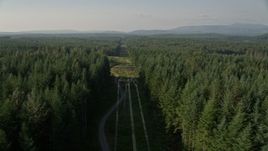 5K aerial stock footage flyby an evergreen forest to reveal a row of power lines, King County, Washington Aerial Stock Footage | AX49_005