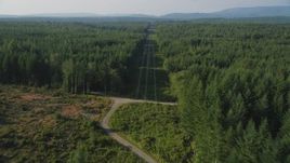 5K aerial stock footage of following power lines past a clear cut area and through a forest, King County, Washington Aerial Stock Footage | AX49_007
