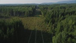 5K aerial stock footage of following power lines through a forest, King County, Washington Aerial Stock Footage | AX49_009