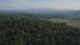 5K aerial stock footage of flying by evergreen forest to reveal farm fields, Carnation, Washington Aerial Stock Footage | AX49_015