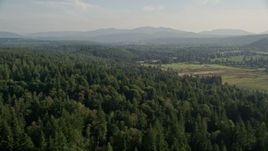 5K aerial stock footage of flying by evergreen forest to reveal farm fields, Carnation, Washington Aerial Stock Footage | AX49_015E