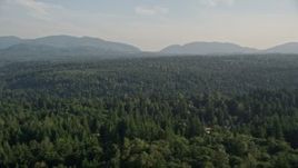 5K aerial stock footage fly by a wide expanse of evergreen forests, King County, Washington Aerial Stock Footage | AX49_023E