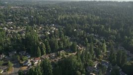 5K aerial stock footage fly by residential neighborhood and evergreen trees, Sammamish, Washington Aerial Stock Footage | AX49_027