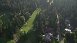 5K aerial stock footage of a bird's eye view of upscale homes and tall evergreen trees, Sammamish, Washington Aerial Stock Footage | AX49_028E