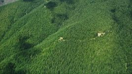 5K aerial stock footage of reverse view of evergreen forest on a mountain peak, reveal clear-cut areas in Thurston County, Washington Aerial Stock Footage | AX52_009E