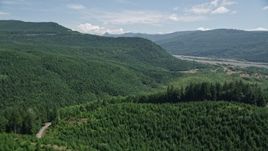 5K aerial stock footage fly over evergreen forest and hills to approach North Fork Toutle River in Washington Aerial Stock Footage | AX52_030