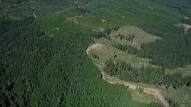 5K aerial stock footage of evergreen forests and clear cut logging areas, Skamania County, Washington Aerial Stock Footage | AX52_065