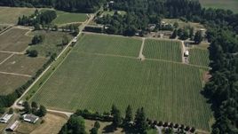 5K aerial stock footage approach a farm and tilt to the crop fields in Ridgefield, Washington Aerial Stock Footage | AX52_090