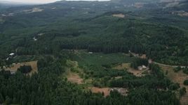 5K aerial stock footage of tracking a small crop field beside evergreen forest in Washington County, Oregon Aerial Stock Footage | AX56_018