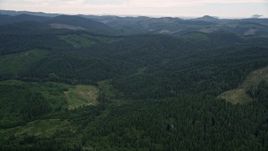 5K aerial stock footage of logging areas and vast evergreen forest in Washington County, Oregon Aerial Stock Footage | AX56_028