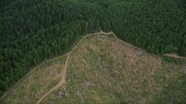 5K aerial stock footage of bird's eye of dirt roads through evergreen forest and logging areas in Washington County, Oregon Aerial Stock Footage | AX56_029E