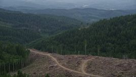 5K aerial stock footage fly over a clear cut area with a view of evergreen forest in Clatsop County, Oregon Aerial Stock Footage | AX56_035